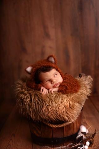 Baby fox newborn photo shoot in Hamburg